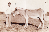 DE615