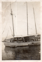 DE788