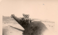 DE829