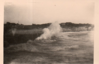 DE838
