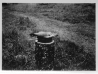 DE869
