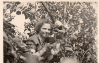 DE874