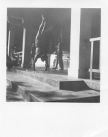 DF086