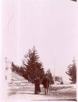 DF123