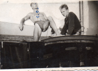 DF237