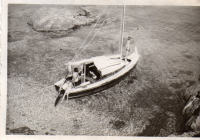 DF239