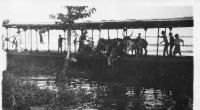 DF308