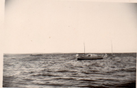 DF558