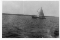 DF559
