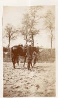DF915