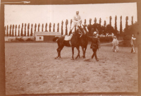 DG043