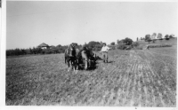 DG118
