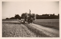 DG120
