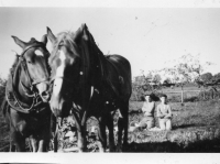 DG126