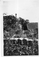DG133