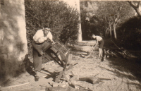 DG146