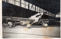 DG203