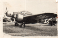 DG204