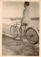 DG213
