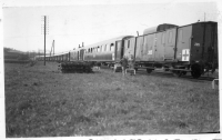 DG218