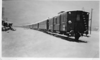 DG219