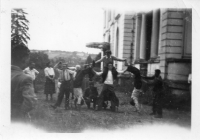 DG236