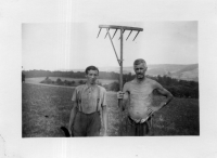 DG286