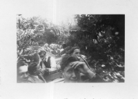 DG293