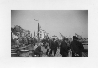 DG294