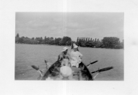 DG298