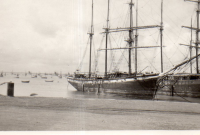 DG325