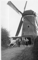 DG338