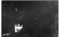 DG346