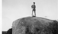 DG348
