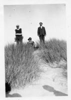 DG366