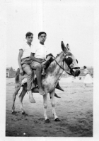 DG373