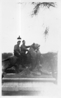 DG432