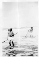 DG469