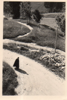 DG613