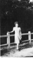 DG619