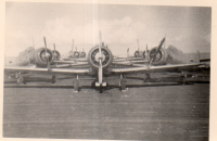 DG651