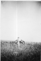 DG686