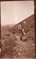 DG741