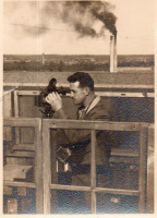 DG752