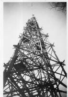 DG774