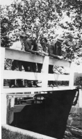 DG786
