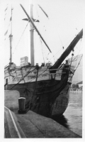 DG803