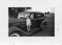 DG823