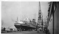 DG864