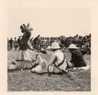 DH086